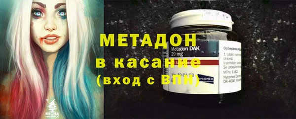 гидра Михайловка