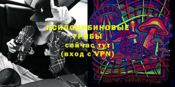 сатива Надым