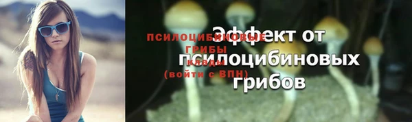 гидра Михайловка