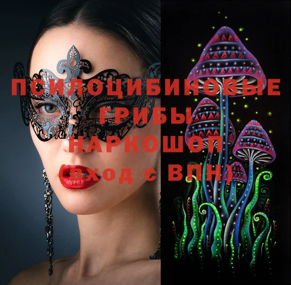 сатива Надым