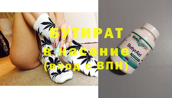 гидра Михайловка