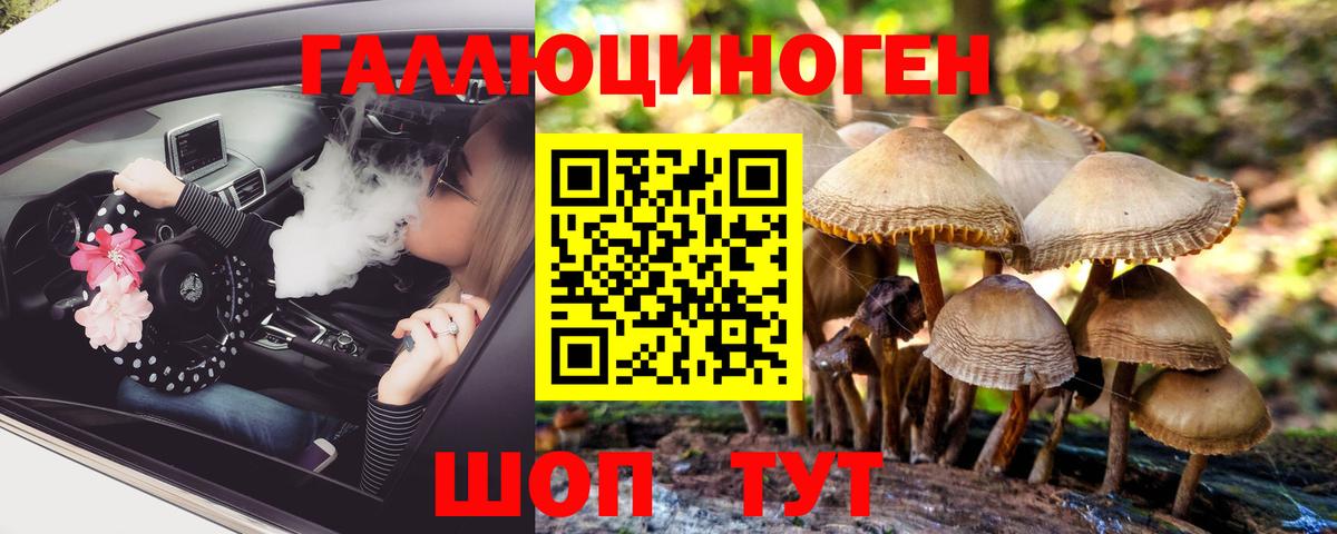 где продают   Вход с VPN  Нефтекумск  Псилоцибиновые грибы мухоморы 