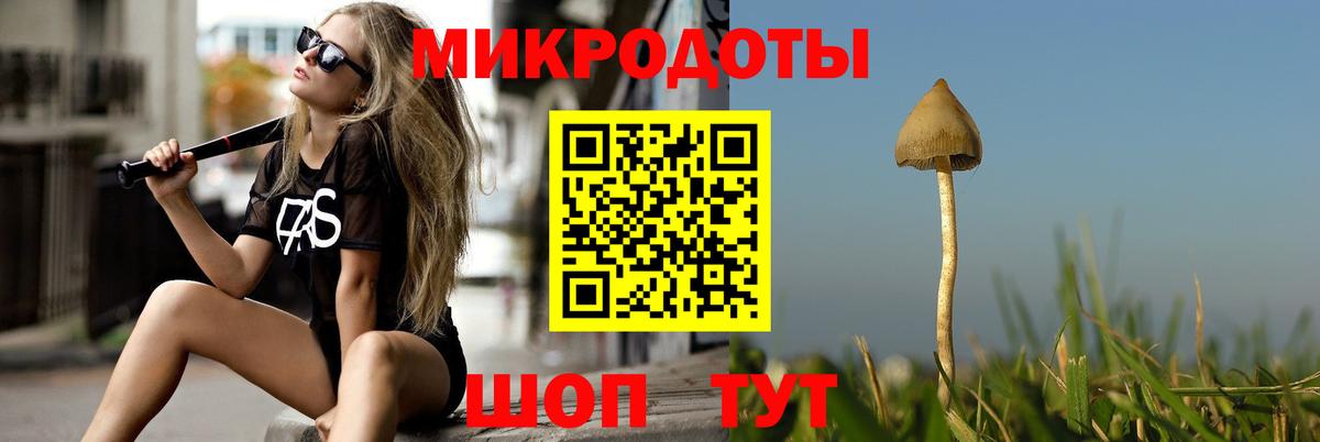 Псилоцибиновые грибы Cubensis Нефтекумск