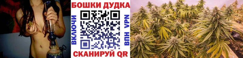 блэк спрут ссылки  Нефтекумск  Каннабис VHQ  купить наркоту 
